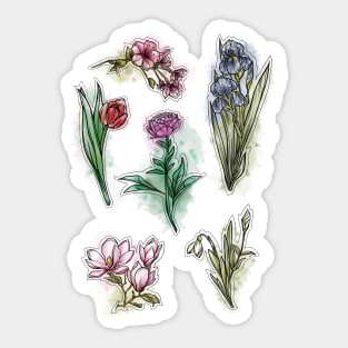 Spring Flowers set, Art Nouveau flower pattern, nature, Tulip, Iris, Cherry blossom, Primrose, Pastel, Watercolor style Sticker